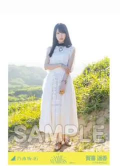 Item thumbnail for item 640c3d1d-05ae-498d-b383-811806a9a71a