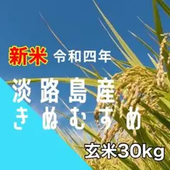 新米 令和4年産 きぬむすめ 玄米30キロ 淡路島産 精米小分け可 30kg