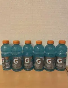 GATAORADE✩ゲータレード スポーツドリンク ペットボトル