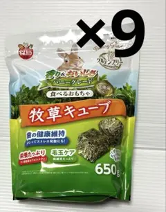 Item thumbnail for item 083ac64d-4056-455d-a8d4-43e533adef3e