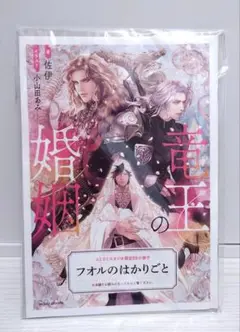 「 竜王の婚姻 」 佐伊 / 小山田あみ コミコミスタジオ特典小冊子