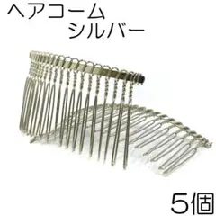 Item thumbnail for item c01117bb-a3b6-4025-b3d3-d59526c2116a