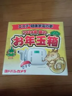 【新品未開封】定価4万円超相当！2025年　ヨドバシカメラ　エステ・健康家電の夢 福袋2025】ヨドバシの『エステ・健康家電』福袋が「買う順番回っ
