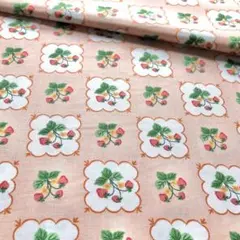 USAコットン いちご柄 ☘️ サマーピクニック 114×50cm Melissa