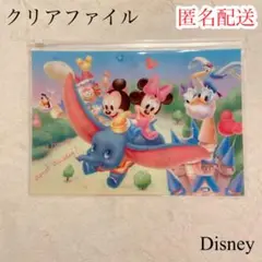 【新品未使用】東京ディズニーランド クリアファイル カラフル ファスナー付き
