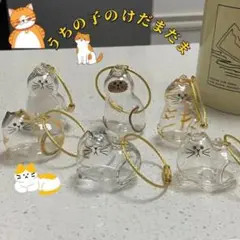 うちの子のけだまだま ガチャ 全6種フルコンプセット m2