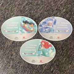 JAL DREAM Express Disney100 ディズニー　プリンセス