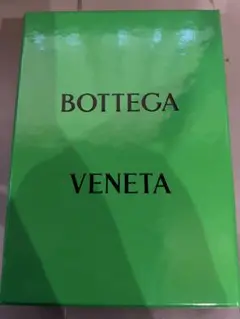 BOTTEGA VENETA iPhone14プロ/14プロMAX用