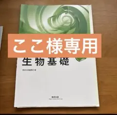 専用ページ