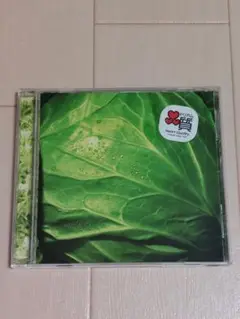 ドリカム　シングルCD　『何度でも』