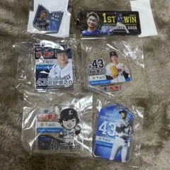埼玉西武ライオンズ 羽田慎之介 6点セット