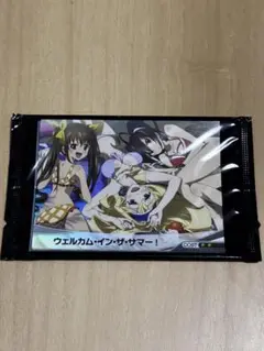 【送料無料】ファイブクロス　ウェルカム・イン・ザ・サマー！