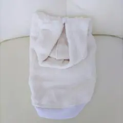 Item thumbnail for item 1abe5afd-41ee-4cc7-b61b-b1ec8bf532d3