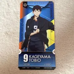 ハイキュー 影山飛雄 チケットライクコレクション