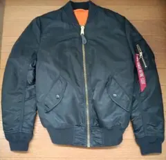 Item thumbnail for item 2930c36b-0d1b-4a43-b70e-5f58056a918d