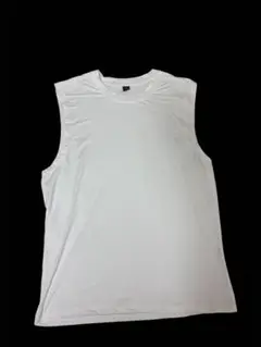 Item thumbnail for item 43a68237-9374-4677-b60d-a54ae5335cea