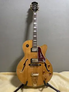 2025年最新】epiphone joe passの人気アイテム - メルカリ