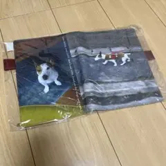 Item thumbnail for item 09ce2947-b6c2-4ded-affb-010604c280b8