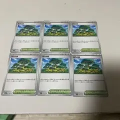 活力の森カード 6枚セット