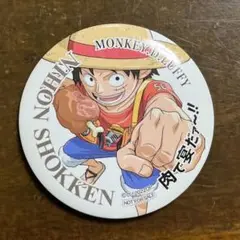 ワンピース　マグネット