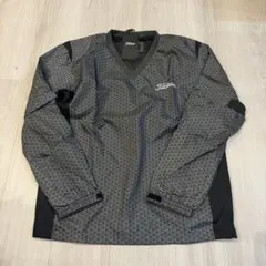 Item thumbnail for item 31c433eb-e4de-444f-9768-864cb87739df