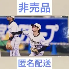 【完売商品】福田周平 オリジナル写真② 2025年 オリックス・バファローズ