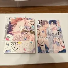 忘れられない恋をして