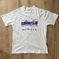 90s Tシャツ 古着 ヴィンテージ シングルステッチ
