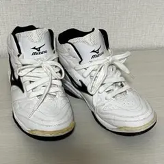 バスケットボールシューズ　24cm MIZUNO