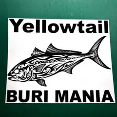 Item thumbnail for item b2cf1c45-90c8-42a0-8bd0-125a40e2ccbd