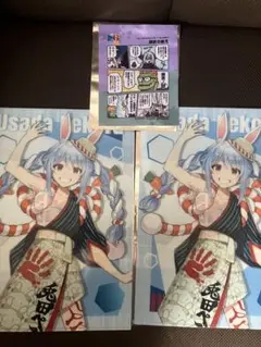 ホロライブ　兎田ぺこら クリアファイル マルチクロス セット