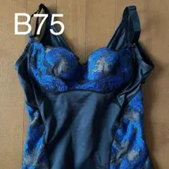 Item thumbnail for item 95a5148a-9201-468e-983d-eae1856873e9