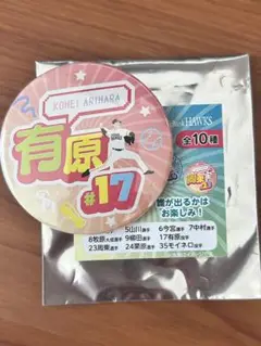 ソフトバンクホークス　17 有原選手 レトロデザイン缶バッジ