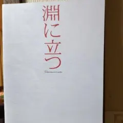 淵に立つ 劇場版パンフレット 残1冊