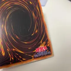 確認ページ
