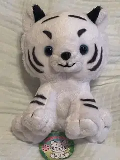 動物園　ホワイトタイガー