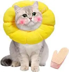 Item thumbnail for item 156e7497-8480-45f2-9112-39c5b0c71913