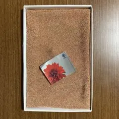 Item thumbnail for item 4f7a23a4-ca79-469d-8221-f9223807eed1