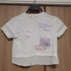 白色Tシャツ