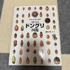 ひろった　あつめた　ぼくのドングリ図鑑