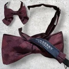 Item thumbnail for item d17a27bb-79cf-45b7-9853-947586d6eda8