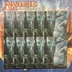 MTG フルアート基本地形 森・英語版10枚セット