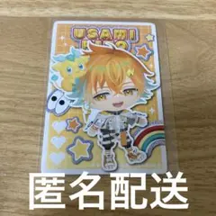 ピグパ　ピグパーティー　チップス　宇佐美リト　PIGG PARTY
