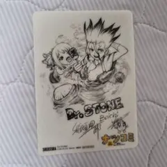 ナツコミ 2019 Dr.STONE