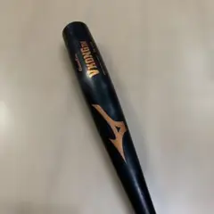 Item thumbnail for item 90b471e4-98e3-474c-a994-d2d995a3c261