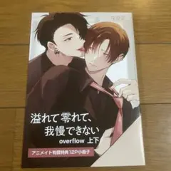溢れて零れて、我慢できない overflow 上・下 アニメイト限定12P小冊子