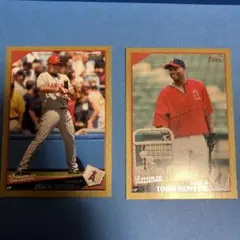 TRISTAR Torie Hunter サインボール fanatics 以外 TRISTAR Torie Hunter サインボール fanatics 以外 Torii Hunter