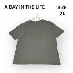 アデイインザライフ （XL） 半袖 Tシャツ ヴィンテージ風 コットン100%