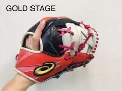 【最高級】ゴールドステージ 軟式オーダーグラブ(内野手用)