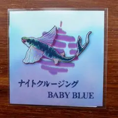 フィッシュマンズ・両面カバー！　PINE BARONS 　　EPレコード